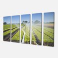 thumbnail image 2 of Belle Vue des Cultures Arrosage - Impression sur Toile Paysage, 2 of 3