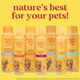 thumbnail image 5 of Burt's Bees Dog Shampoo 16oz-Oatmeal, 5 of 5