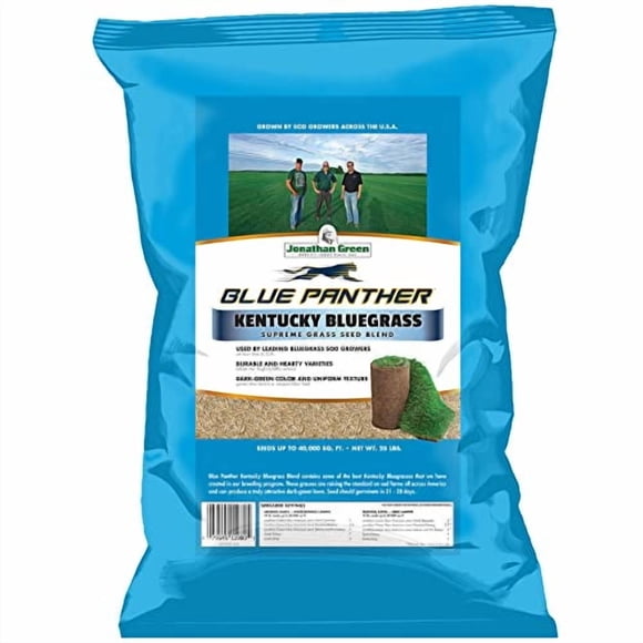 Jonathan Green 11980) ( Graines de Blue Panther Kentucky Bluegrass Grass - Graines de Pelouse Saison Fraîche (25 lb)