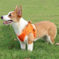 thumbnail image 3 of Flmtop Traction Rope 360 Degree Reflective Design Explosion Proof Polyester Pet Dog Chest Strap for Outdoor Navy Blue, 3 of 9
