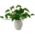thumbnail image 4 of Mainstays Indoor Artificial Potted Golden Pothos, Green Color, Assembled Height: 13", Plastic Pot, 4 of 5