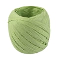 thumbnail image 1 of Agiferg Corde en Raphia, Ruban en Raphia 20 m pour Emballage Emballage Panier et Boîte de Cadeaux d'Anniversaire, 1 of 1