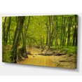 thumbnail image 2 of Creek in Wild Green Forest - Oversized Forest Canvas Artwork, 2 of 3