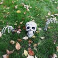 thumbnail image 4 of CEHVOM Halloween Skeleton Prop Human Full Size Skull Hand Garden Model Decor Clearance, 4 of 8