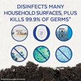 thumbnail image 3 of LYSOL® DISINFECTING WIPES Flat Pack, Citrus, 84 Count, 3 of 5