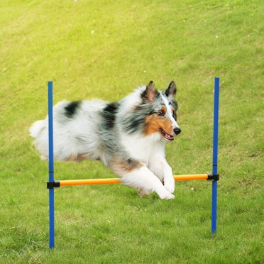 Yeacher Outdoor Pet Dog Sports Games Training Equipment Dogs Jump Hurdle Bar Obedience Show Activity Exercise Pole Set with Carrying Case
