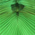 thumbnail image 1 of Ahgly Company Machine Washable Indoor Square Transitional Green Area Rugs, 7' Square, 1 of 7