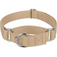 thumbnail image 1 of Country Brook Petz - Copper Gold Martingale Heavy Duty Nylon Dog Collar - 21 Vibrant Color Options (3/4 Inch Width, Small), 1 of 8