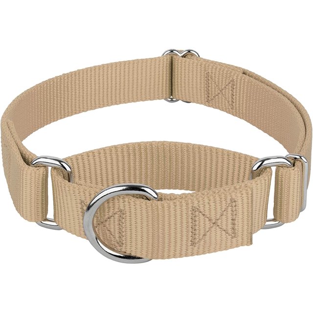 Country Brook Petz - Copper Gold Martingale Heavy Duty Nylon Dog Collar - 21 Vibrant Color Options (3/4 Inch Width, Small)