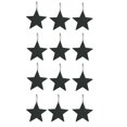 thumbnail image 1 of Park Designs Star Shower Curtain Hooks (Set of 12) Black, 1 of 4