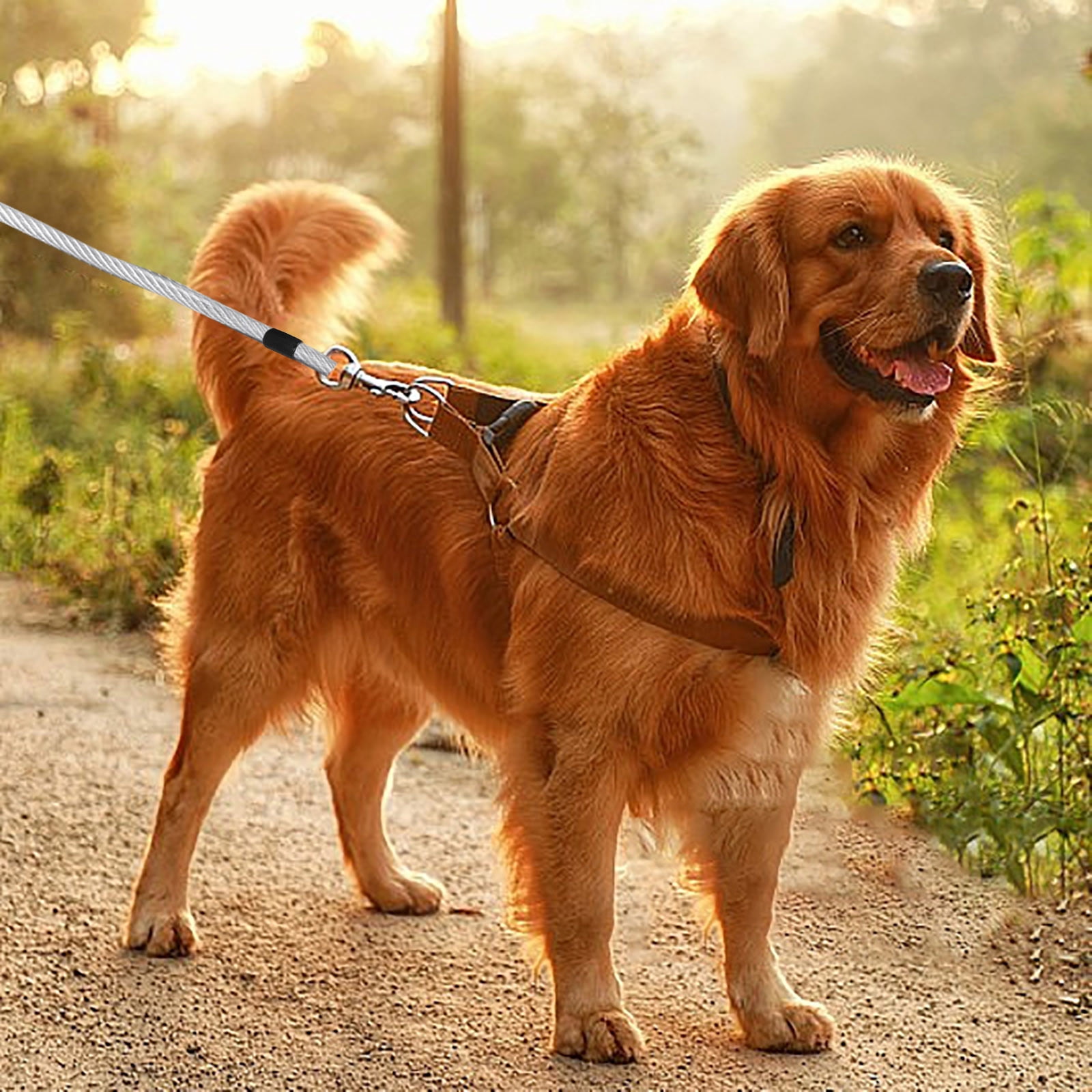 Dog Tie Out 8m Long Dog Leash With Swivel Clips Chains For Outside Yard Camping 1pc