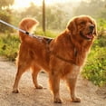 thumbnail image 2 of Heavy Duty Dog Tie Out Leash with Swivel for Large Dogs Outdoor Yard Camping Runner Secure Tethering, 2 of 4