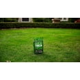 thumbnail image 4 of Scotts Turf Builder Quick + Thick Grass Seed Dense Shade, 4 of 7