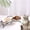 E, variant on Elevated Dog Bowl Stand with Stable Frame for Comfortable Feeding and Digestion
