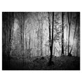 thumbnail image 1 of Designart Beautiful Forest Morning Panorama Canvas Wall Art, 1 of 4