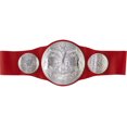 thumbnail image 1 of WWE 2024 Tag Team Championship Belt, 1 of 3
