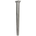 thumbnail image 1 of Acorn Manufacturing CCR8 8D Common Rosehead Nail, 1 lbs, 1 of 3