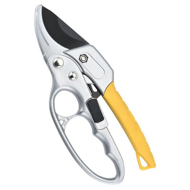 Silver pruning shears Fruit tree shears Gardening tools
