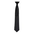 thumbnail image 1 of Premier Couleurs Cravate à Pince en Satin pour Hommes, 1 of 3