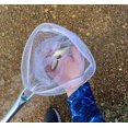 thumbnail image 4 of Plano Molding Frabill 3049 Wood Handle Baitwell Net, 4 of 6