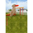 thumbnail image 5 of Petz Dogz Talent Show-nintendo DS, 5 of 5