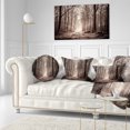 thumbnail image 1 of Forest Trail in Sepia - Landscape Photography Canvas Art Print, 1 of 3