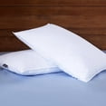 thumbnail image 2 of Puredown® Feather & Down Pillow Set of 2, 2 of 5