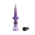 thumbnail image 2 of QualitChoice Pneu Valve Roue Noyau Vélo Accessoires Buse en Métal Multicolore Mini Taille Démontable Conception Remplacé Partie Tubeless Tige Rouge Violet, 2 of 6