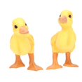 thumbnail image 2 of Mini Canard Jaune, Figurine de Canard Jaune de Simulation Compacte Décoration Mignonne Réaliste pour les Collections de Modèles pour les Accessoires Photo pour l'Anniversaire, 2 of 8