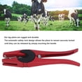 thumbnail image 4 of 100 Sets Livestock Ear Tag Kit, 001-100 Number Plastic Livestock Ear Tags  TPU Identification Card with Animal Tagging Plier for Cattle Horse Pig Sheep, 4 of 8