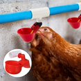 thumbnail image 4 of 20pcs Abreuvoir de Poulet PVC Raccords de Tee-Abreuvoirs de Volaille Entièrement Automatiques, 4 of 8