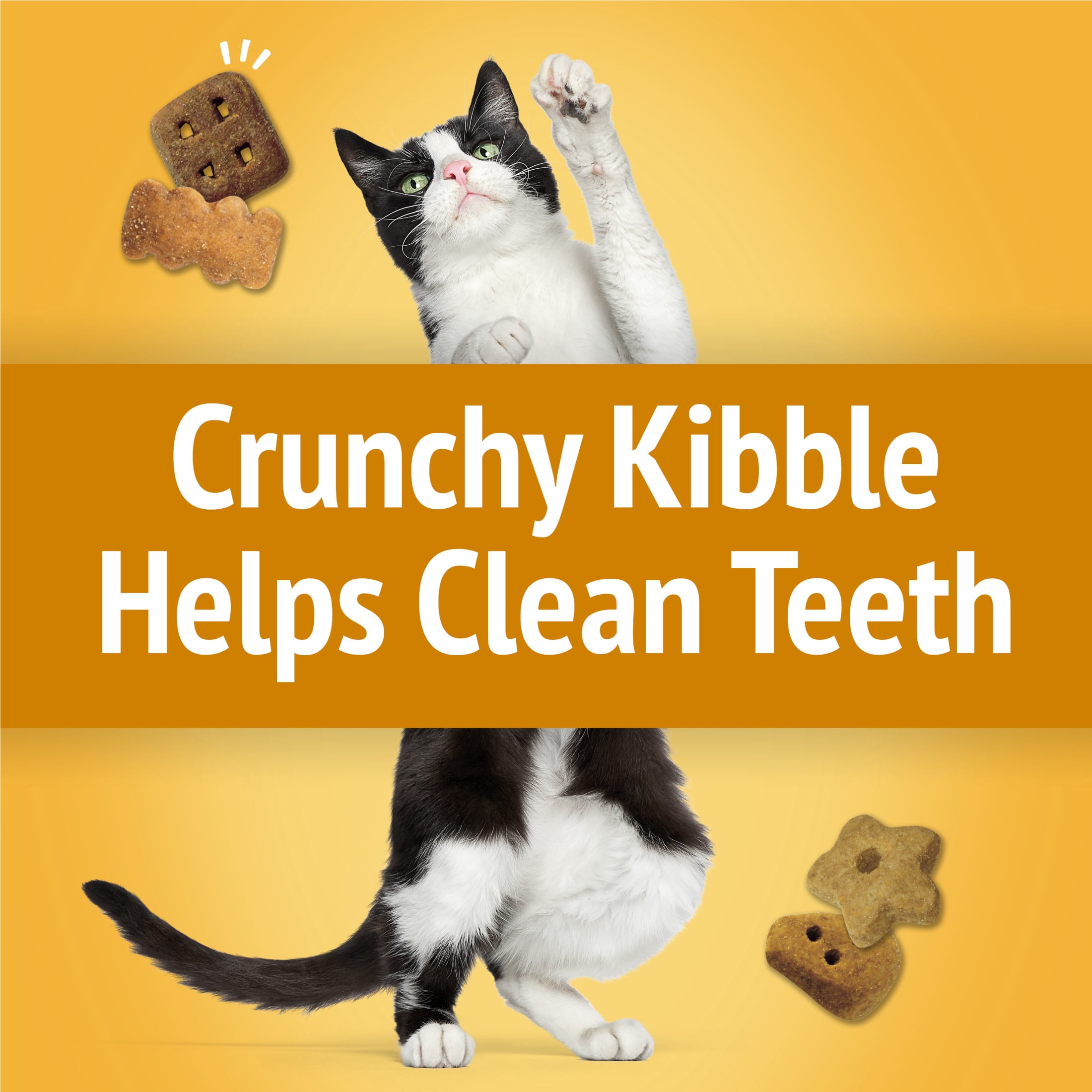 Purina Friskies Party Mix Cheezy Craze Crunch avec du vrai fromage, Gâteries pour chats, 510g