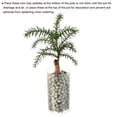 thumbnail image 5 of Unique Bargains Galets d'Argile Verts 9-10 mm 0,88 Lb pour Jardinage en Pot, pour Culture Hydroponique, 5 of 5