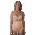 thumbnail image 2 of Kathryn Light Tummy Control Microfiber Brief 2-Pack (Style 751) by Teri Lingerie, 2 of 5