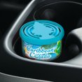 thumbnail image 2 of LITTLE TREES air freshener Fiber Can Caribbean Colada 1.05 OZ, 2 of 7