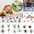 thumbnail image 2 of TIELUTT Assorted Lifelike Children Biology Science Diy Crafts for Kids Bulk Diy Crafts for Adults Bulk Kids Arts and Crafts Organizers and Storage Kids Arts and Crafts Table Diy Crafts for Adults Boo, 2 of 8