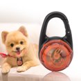 thumbnail image 3 of Collier Lumineux pour Animaux de Compagnie, Collier Lumineux pour Animaux de Compagnie, Collier Lumineux pour Animaux de Compagnie, Lumière de Marche pour Animaux de Compagnie, 3 of 8