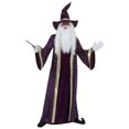 thumbnail image 1 of Déguisement Violet pour Adulte Wizard, 1 of 1