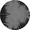 thumbnail image 1 of Ahgly Company Tapis Rond Lavable en Machine Intérieur Transitionnel Noir Charbon, 5 Pieds Rond, 1 of 7
