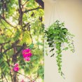 thumbnail image 2 of 5 Pcs Jardinière Suspendue Extérieur Intérieur Pot de Plante Suspendu Panier Pot de Fleurs Suspendu pour Balcon, 2 of 9