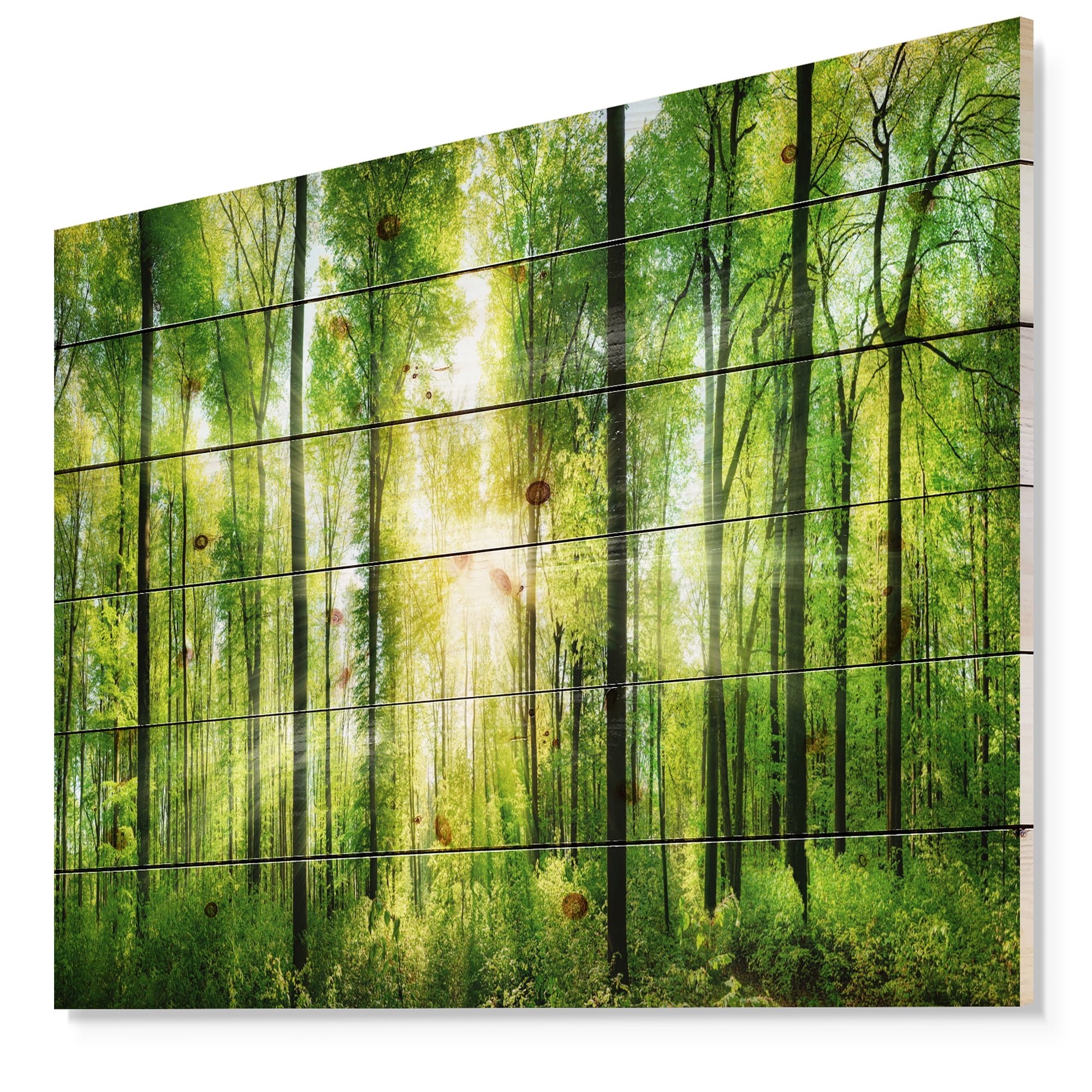 Tableau à toile imprimée Design Art Paysage Panorama Forêt avec rayons de soleil
