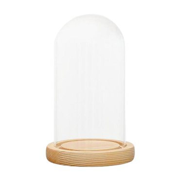 Luzkey Dome Cloche Bell Jar Wooden Base Multipurpose for Antique Collectibles A