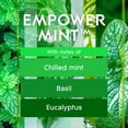 thumbnail image 4 of Glade Branchées® Huile parfumée Recharge, Empower Mint™, 4 of 7