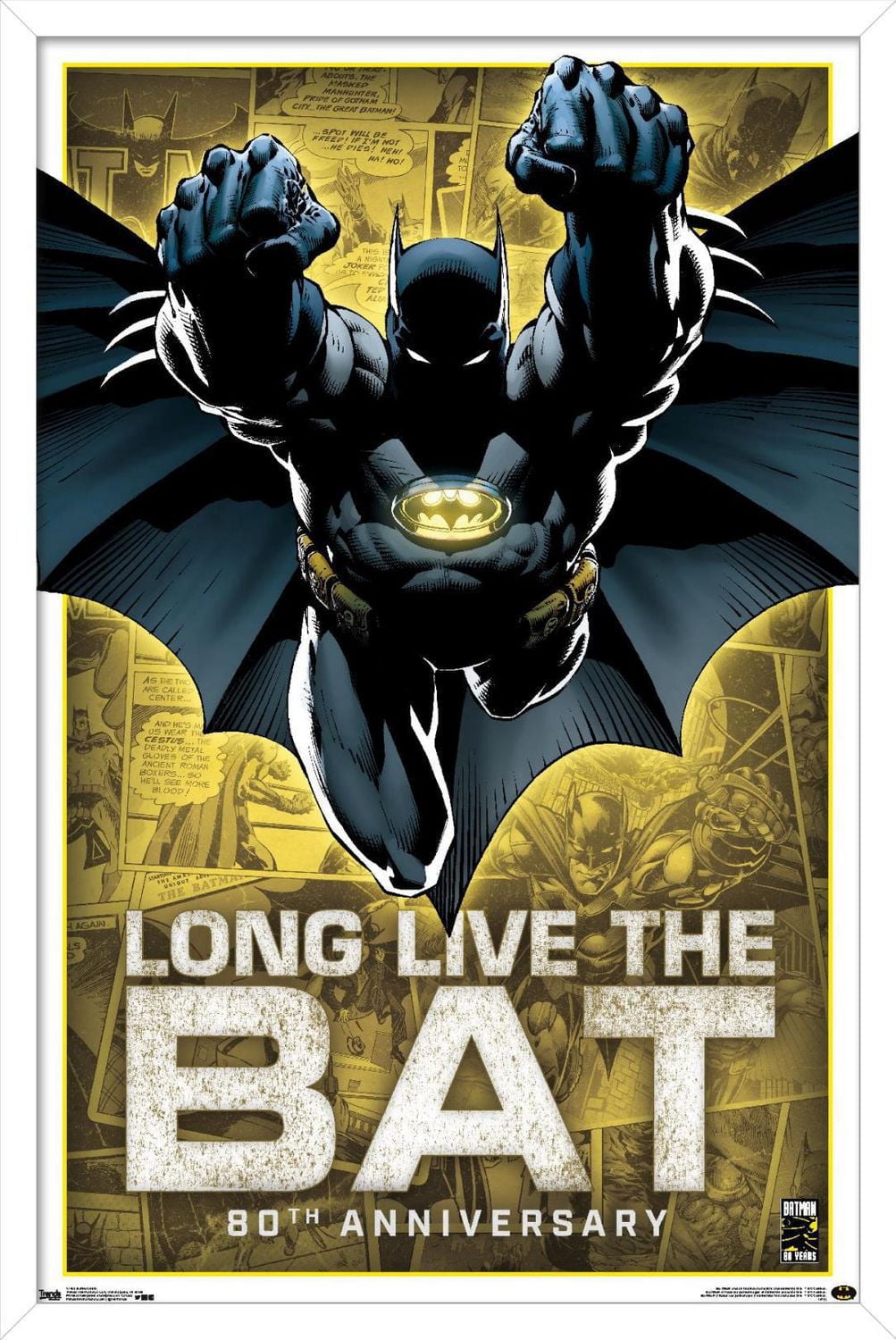 DC Comics - Batman - 80th Anniversary Wall Poster, 22.375" x 34"