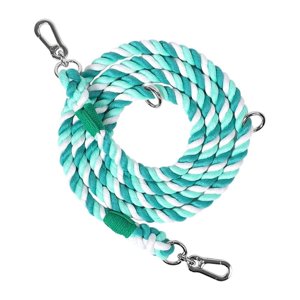 Feuille de chien 7 FT Lead Confortable Rainbow Dog Leash pour chiens moyens