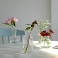 thumbnail image 3 of facefd Clear Glass Flower Vase Stem Plant Jar Table Floral Display Decor 7.5x8.5cm, 3 of 9