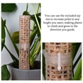 thumbnail image 3 of Xingzhi 2x Plants Clear Moss Pole Designed For Easy And Support Green Black 1Set, 3 of 6