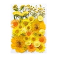 thumbnail image 1 of Vaidha Dried And Embossed Flowers For Resin Kit Candles And Crafts, 1 of 1