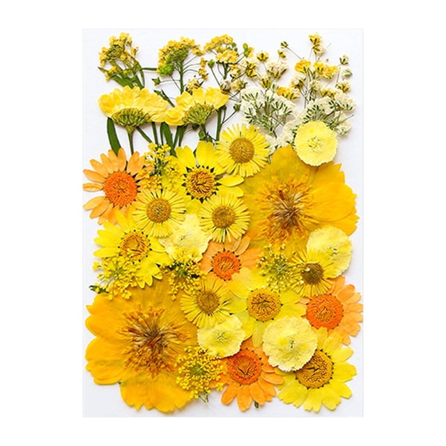 Vaidha Dried And Embossed Flowers For Resin Kit Candles And Crafts