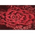 thumbnail image 1 of Ahgly Company Tapis Rectangulaire Lavable en Machine Intérieur Transitionnel Rouge Tomate, 2 Pieds x 4 Pieds, 1 of 7
